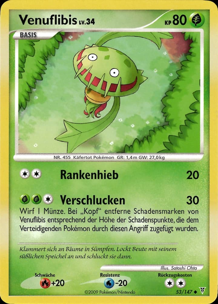 Venuflibis (53)