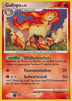 Gallopa (28)