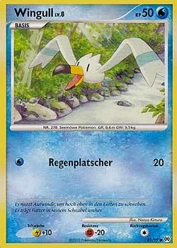 Wingull (81)