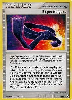 Expertengurt (87)