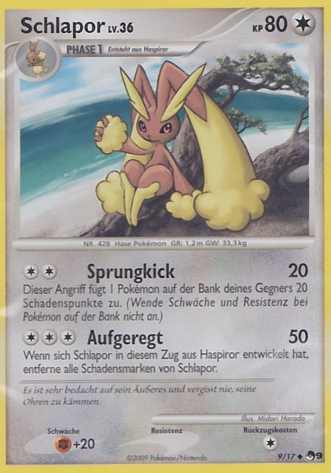 Schlapor (9)