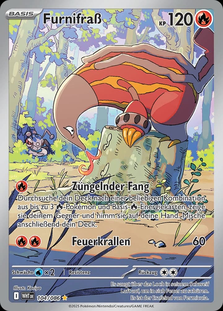Furnifraß (104)