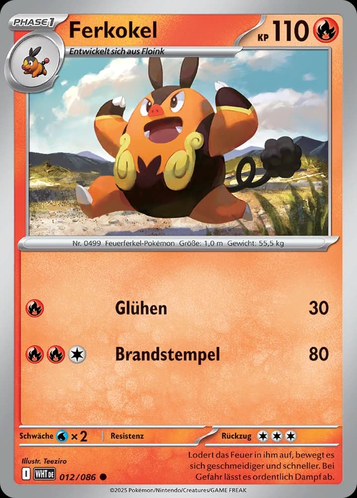 Ferkokel (12)