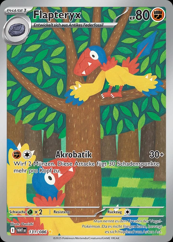 Flapteryx (131)