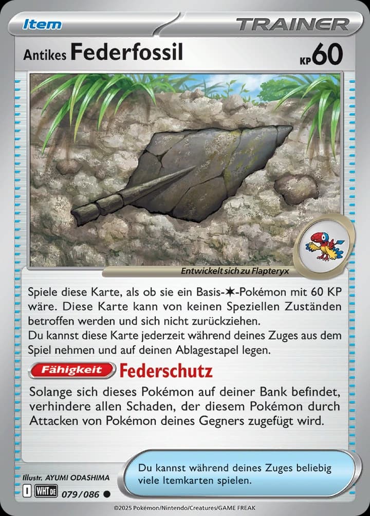Antikes Federfossil (79)