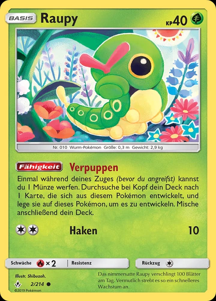Raupy (2)