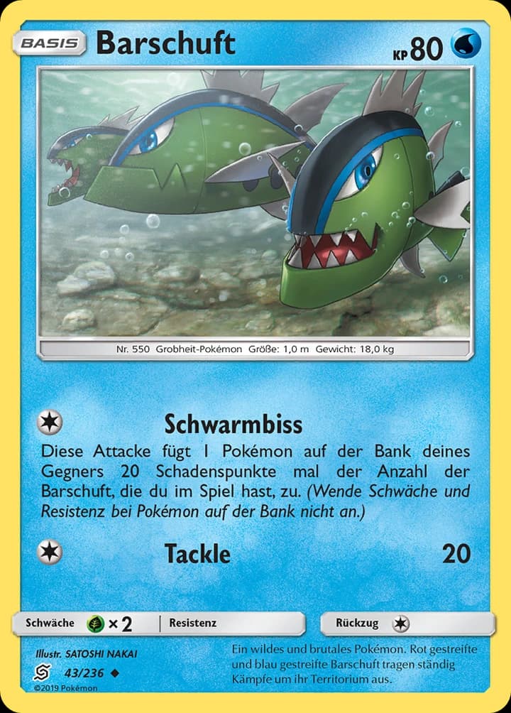 Barschuft (43)