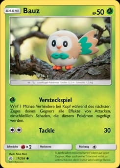 Bauz (17)
