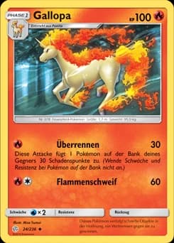 Gallopa (24)