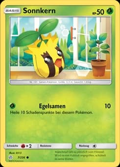 Sonnkern (7)