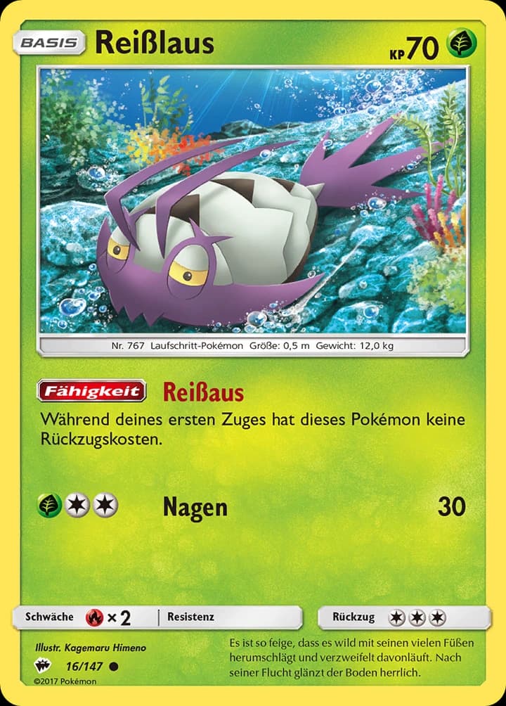 Reißlaus (16)