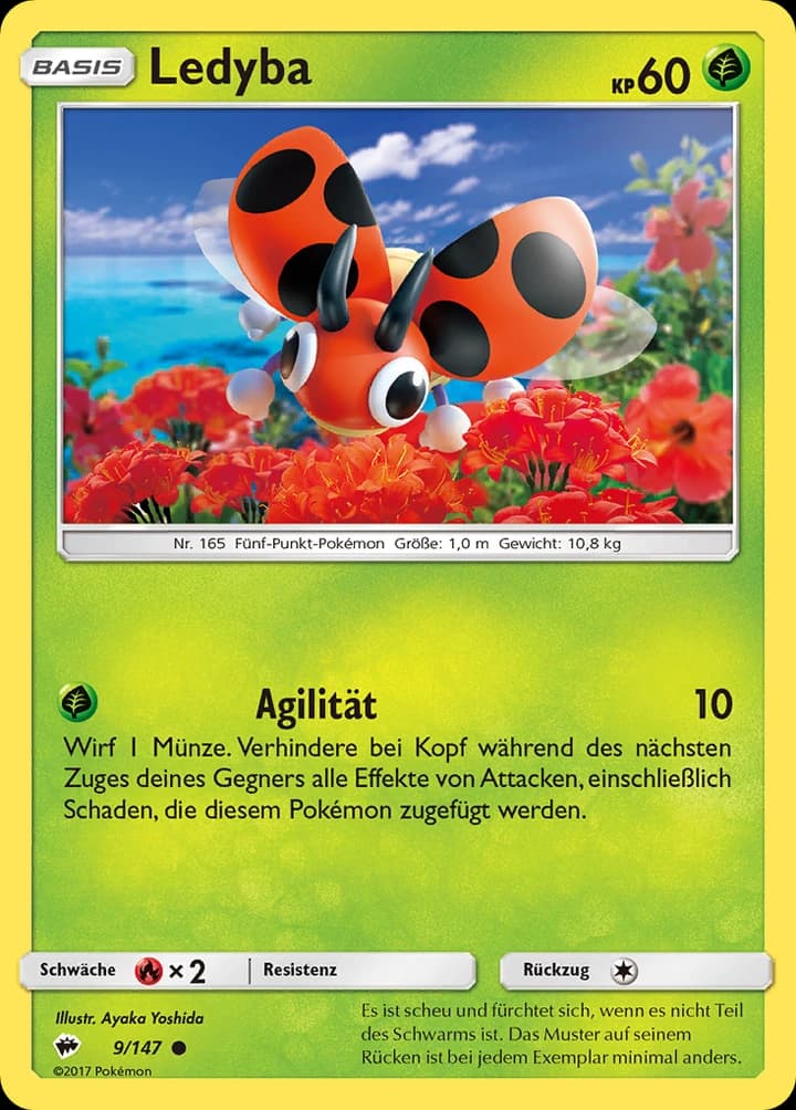 Ledyba (9)