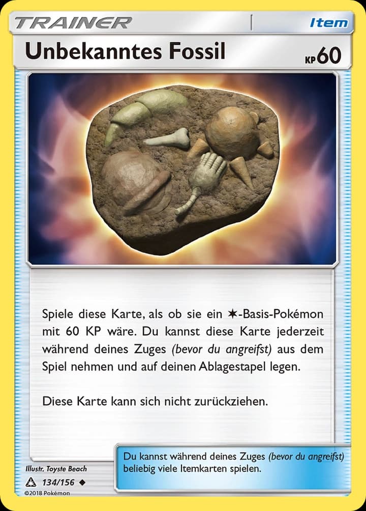 Unbekanntes Fossil (134)