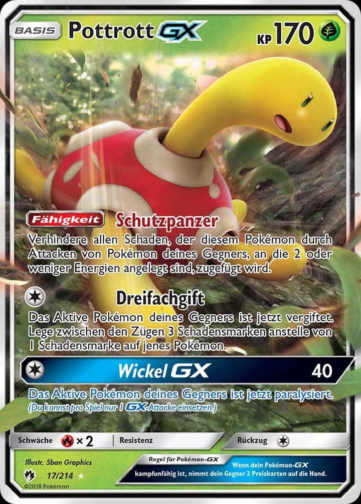 Pottrott-GX (17)
