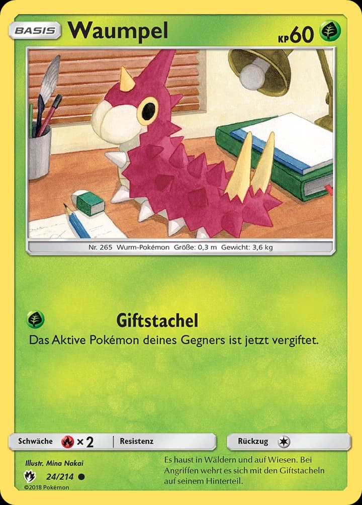 Waumpel (24)