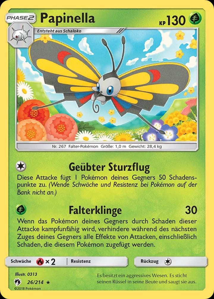 Papinella (26)