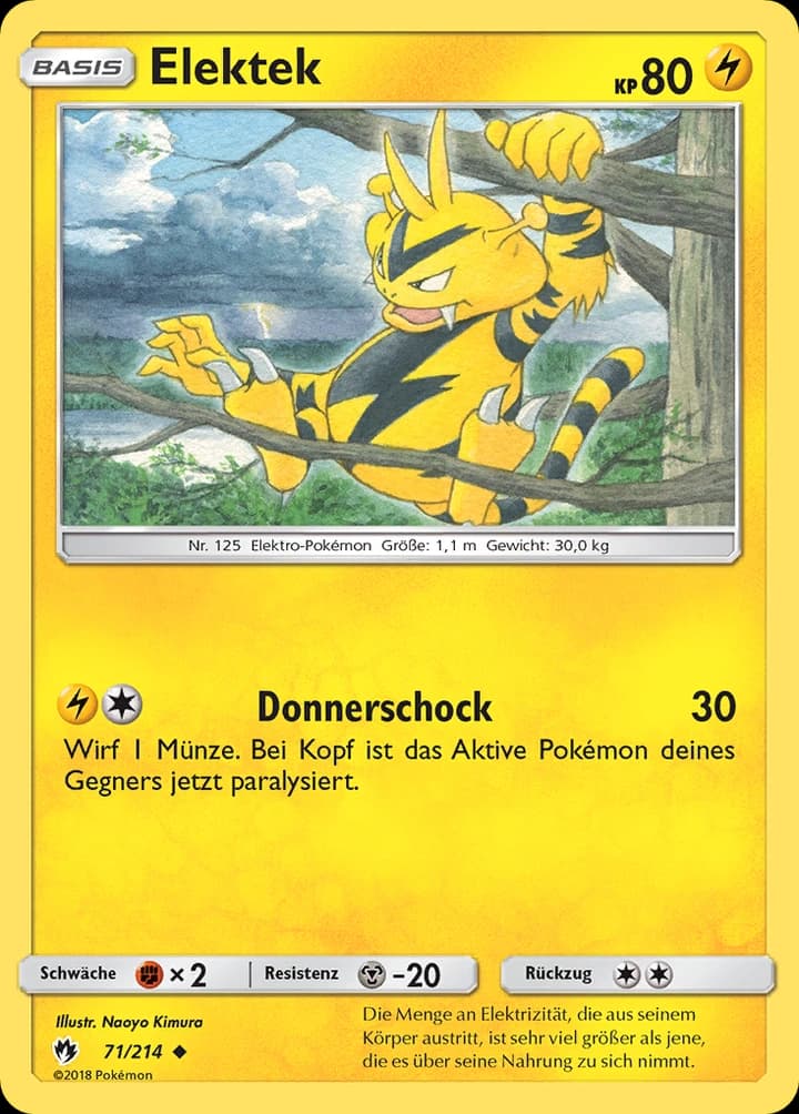Elektek (71)