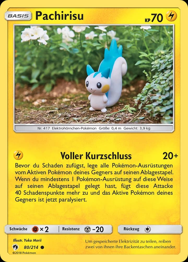 Pachirisu (80)