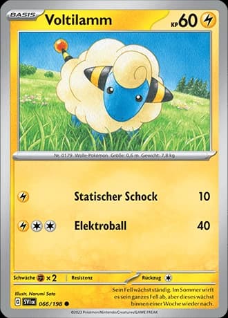 Voltilamm (66)