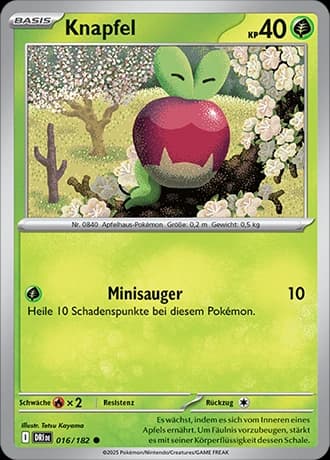 Knapfel (16)