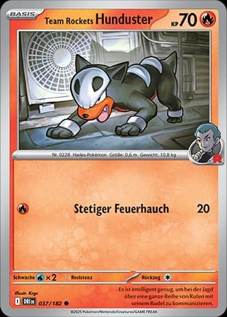 Team Rocket's Hunduster (37)