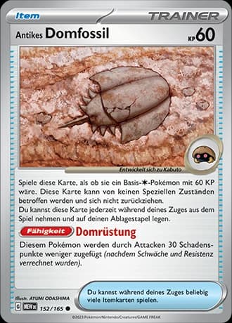 Antikes Domfossil (152)