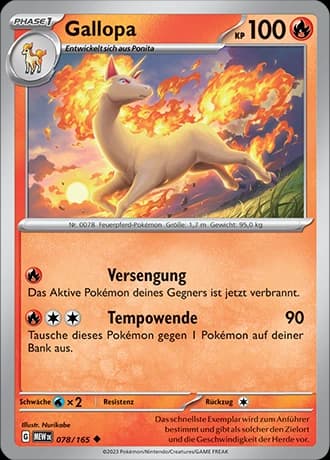Gallopa (78)
