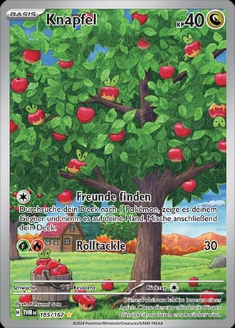 Knapfel (185)