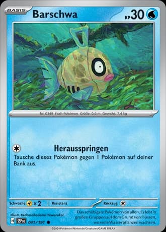Barschwa (41)