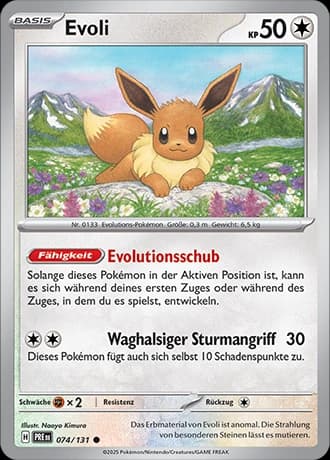 Evoli (74)