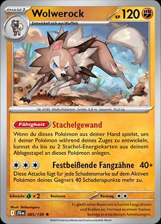 Wolwerock (85)
