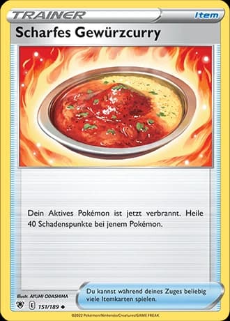 Scharfes Gewürzcurry (151)