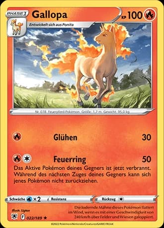 Gallopa (22)