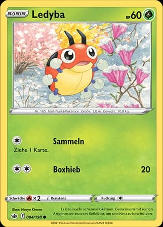 Ledyba (4)