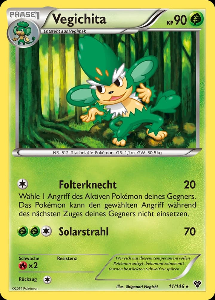 Vegichita (11)