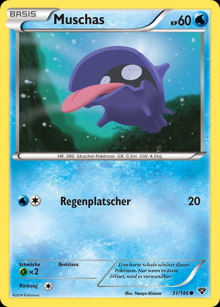 Muschas (31)