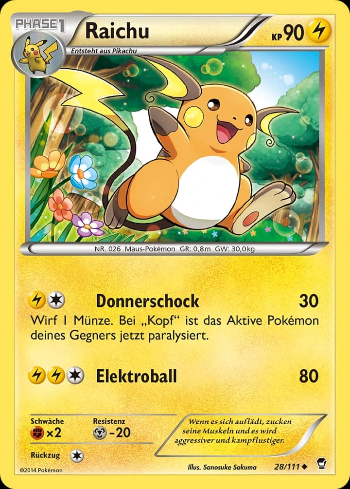 Raichu (28)
