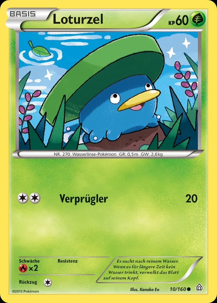 Loturzel (10)