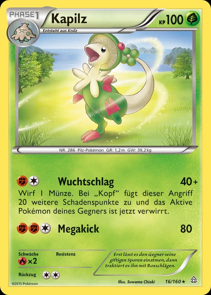 Kapilz (16)