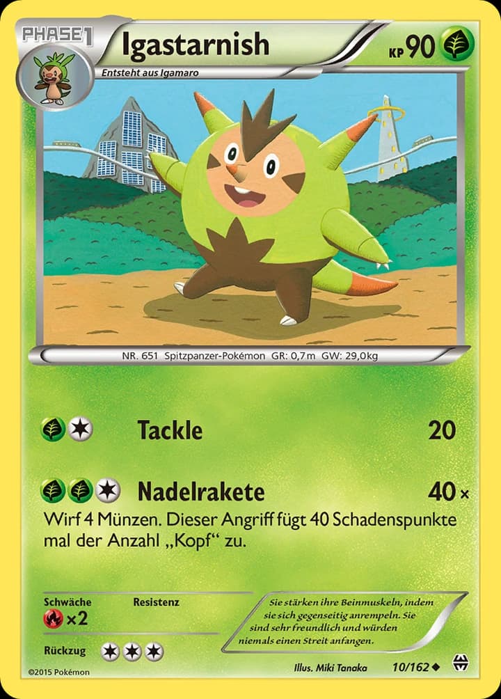 Igastarnish (10)