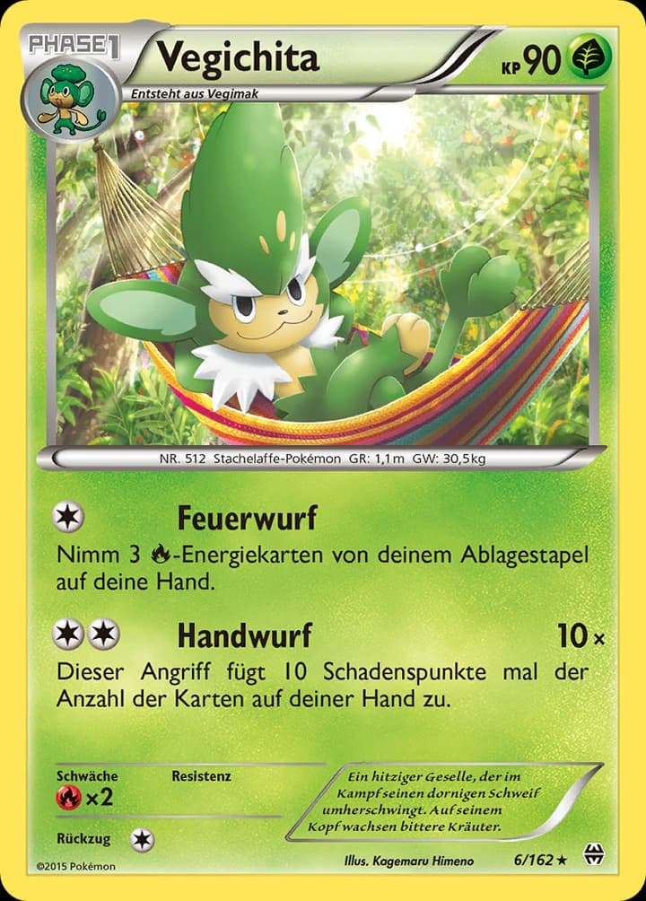 Vegichita (6)