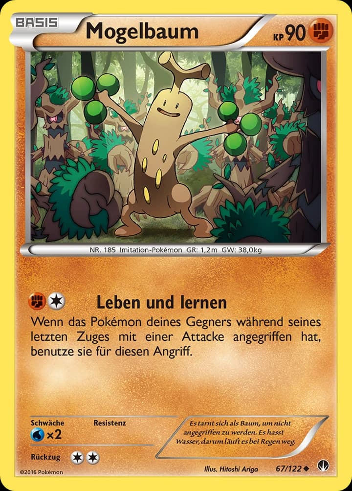 Mogelbaum (67)