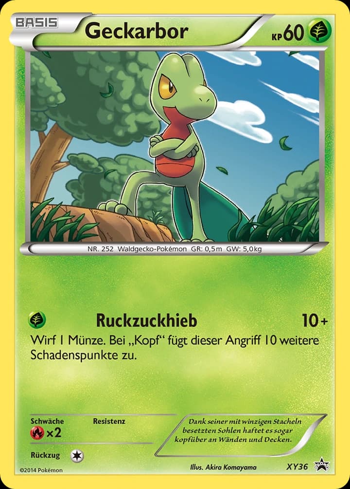 Geckarbor (XY36)