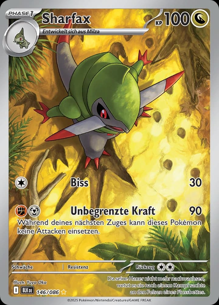 Sharfax (146)