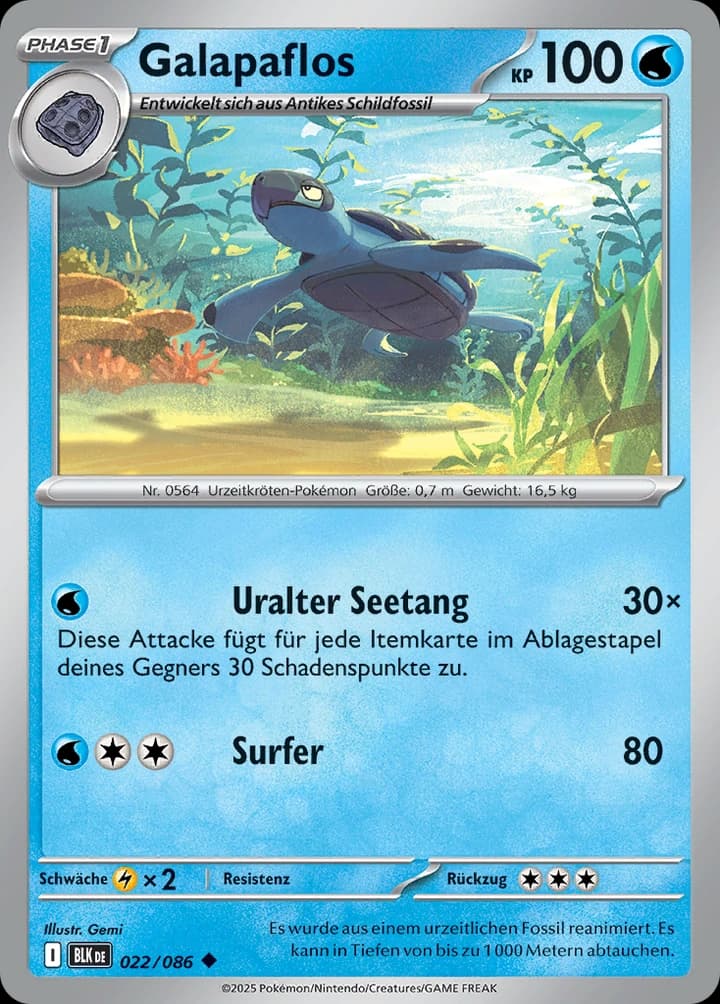 Galapaflos (22)