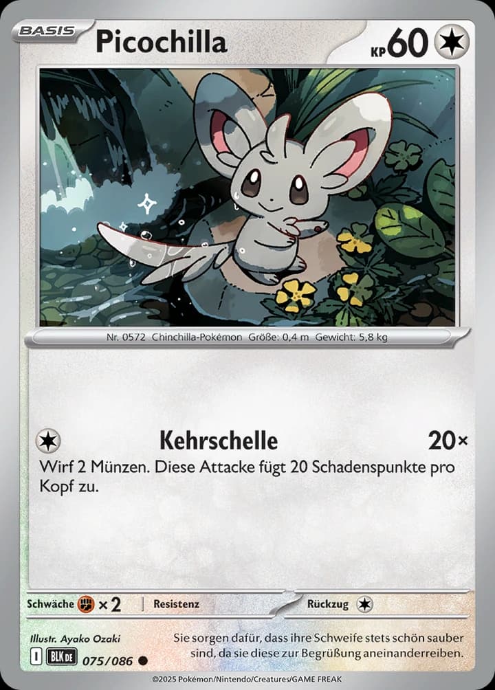 Picochilla (75)