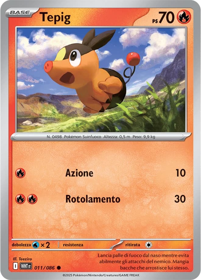 Tepig (11)