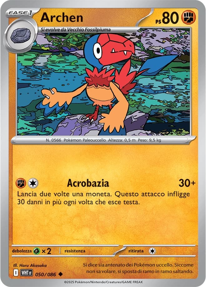 Archen (50)