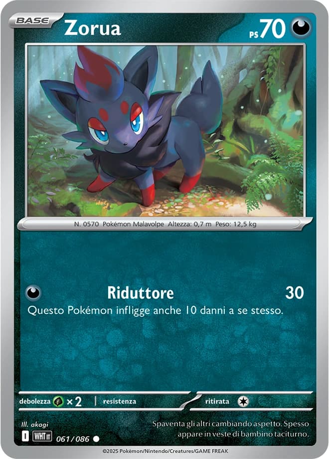 Zorua (61)