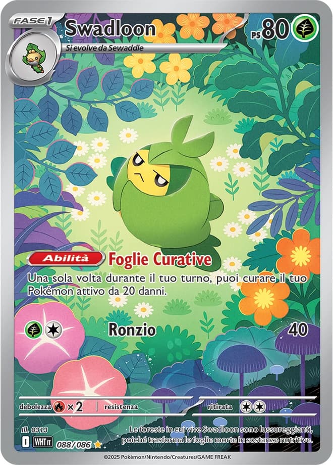 Swadloon (88)